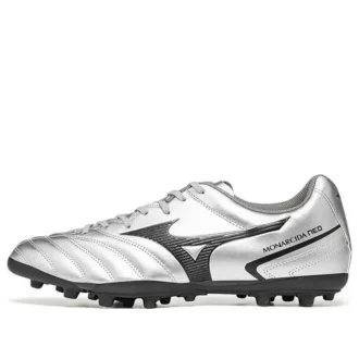 Monarcida Neo II Select AG «Silver Grey»