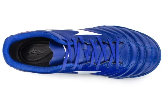 Monarcida Neo II Select AS «Blue White Red»