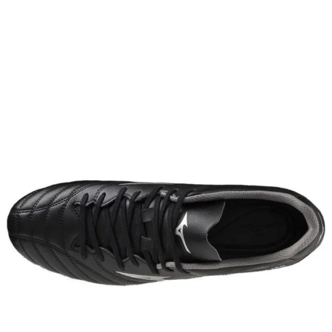 MONARCIDA NEO III «Black Silver»