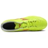 Monarcida Neo III Select AS «Yellow Green»