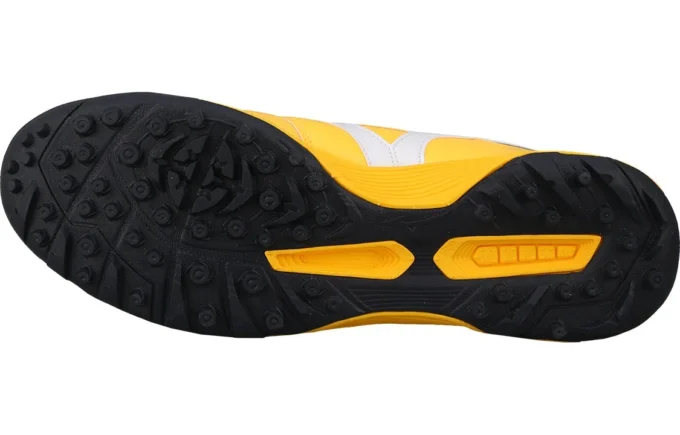 Morelia 2 Pro AS