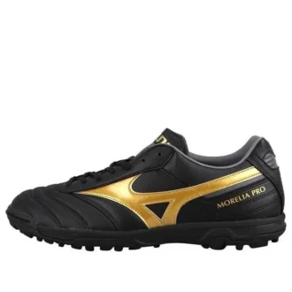 Morelia 2 Pro AS «Black Gold»