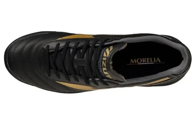 Morelia 2 Pro AS «Black Gold»