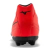 Morelia Neo II «Red Black»