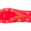 Morelia Neo IV Beta Japan «Red Gold»