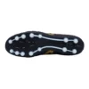 Morelia Neo4 IV Pro AG «Black»
