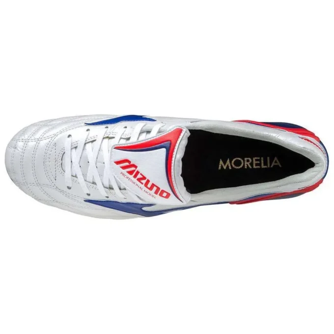 Morelia Wave Japan «Silver Blue»