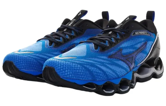 Wave Prophecy 11 «Blue Black»