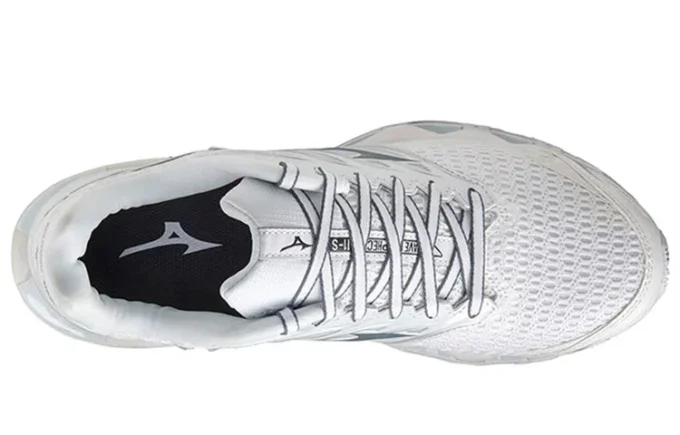Wave Prophecy 11 «White Grey»