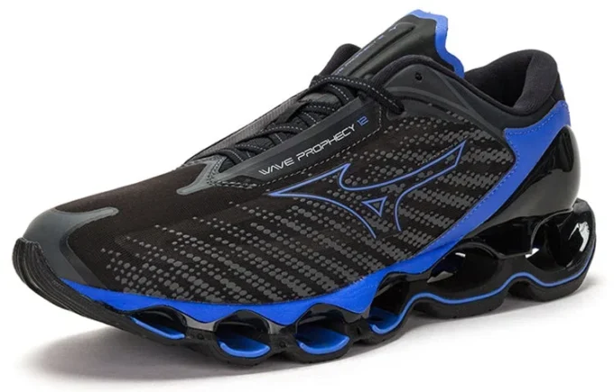 Wave Prophecy 12 «Black Blue»