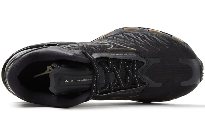 Wave Prophecy 12 «Black Gold»