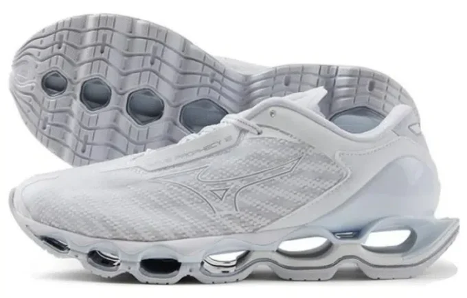Wave Prophecy 12 «Grey»