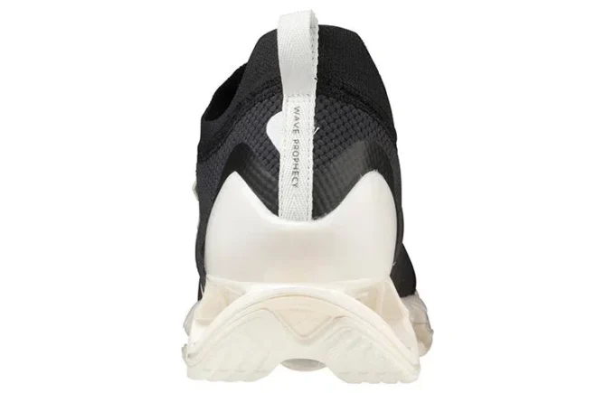 Wave Prophecy B «Black White»
