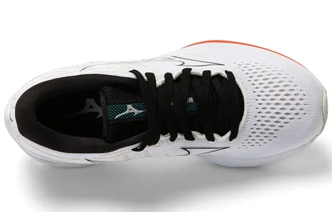 Wave Rider 25 «White Black»